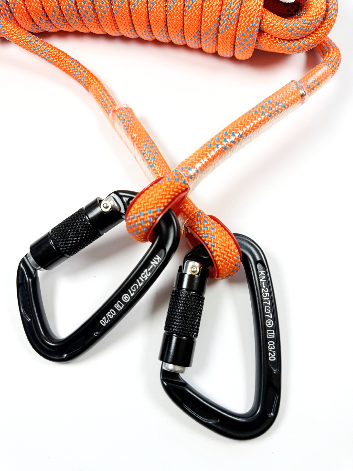 PawJourney Campsite Tether System