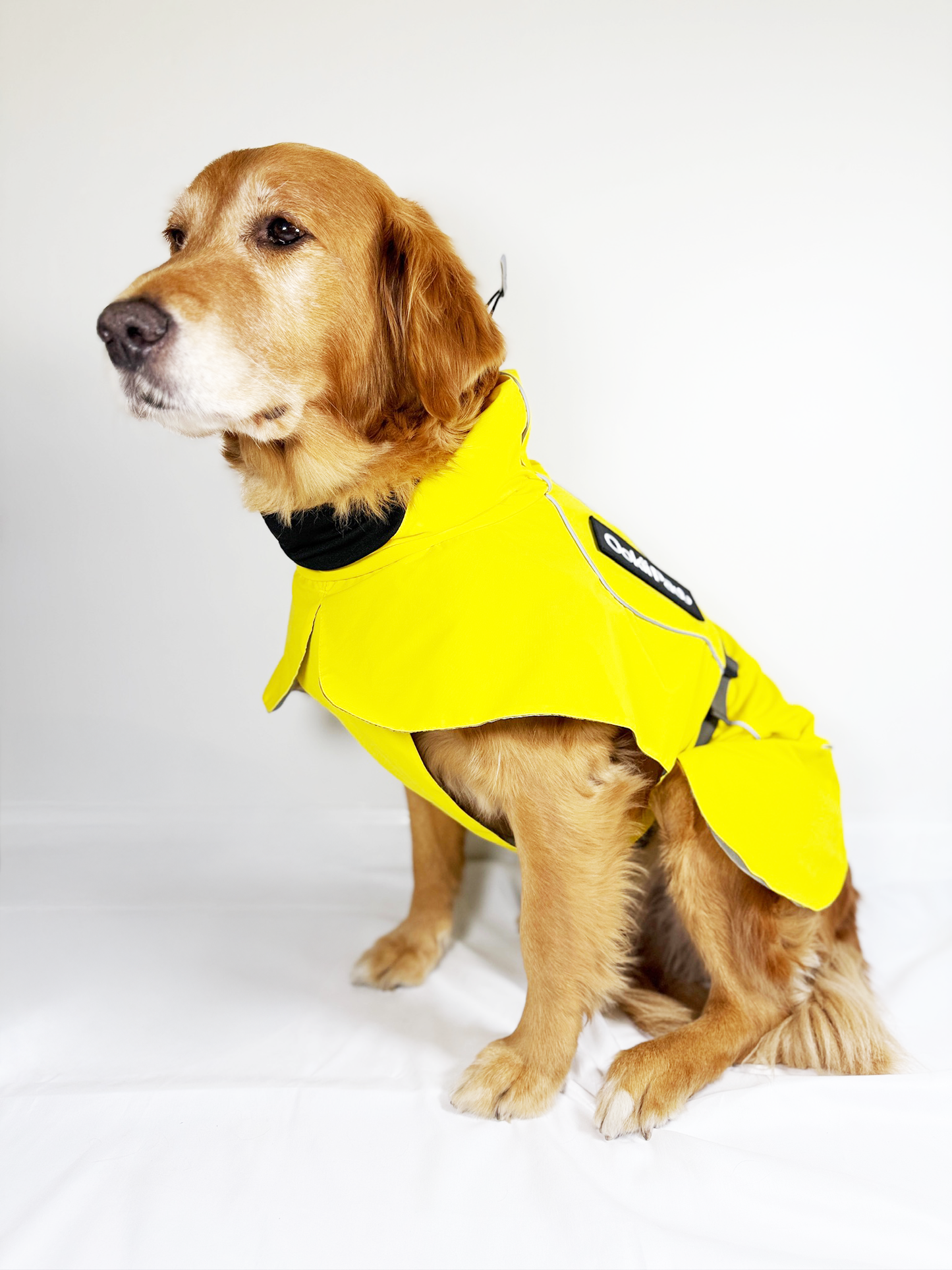 PawJourney Adventure Raincoat