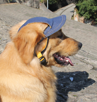 PawJourney 牛仔遮陽帽