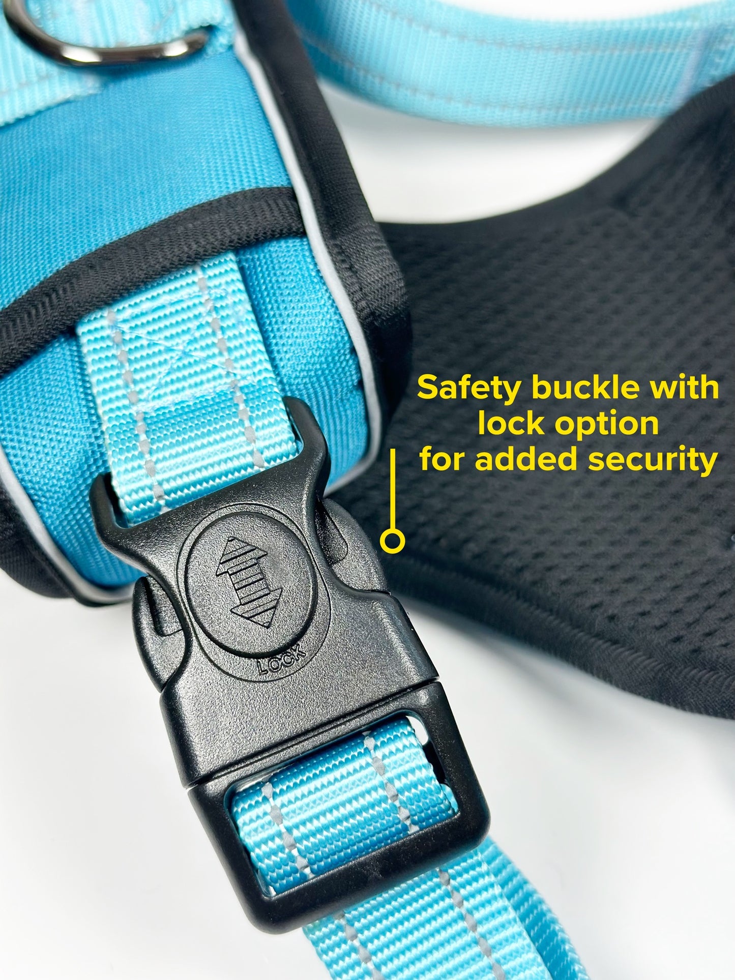 PawVersa Explorer Harness