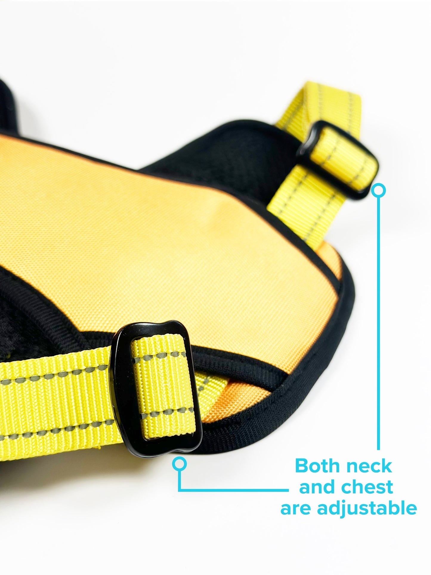 PawVersa Explorer Harness