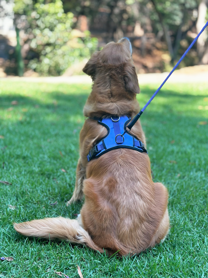 PawVersa Explorer Harness