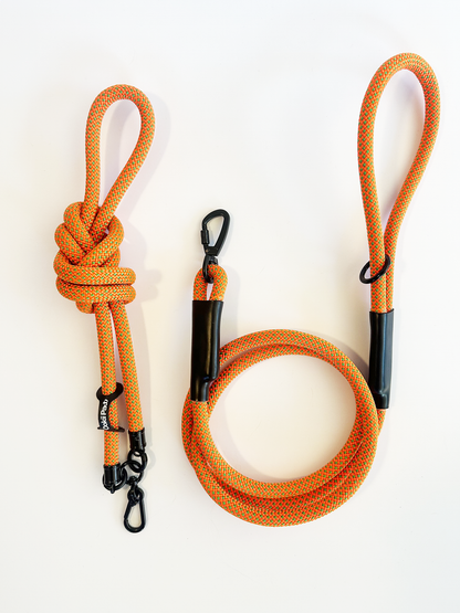 PawVersa Utility Leash