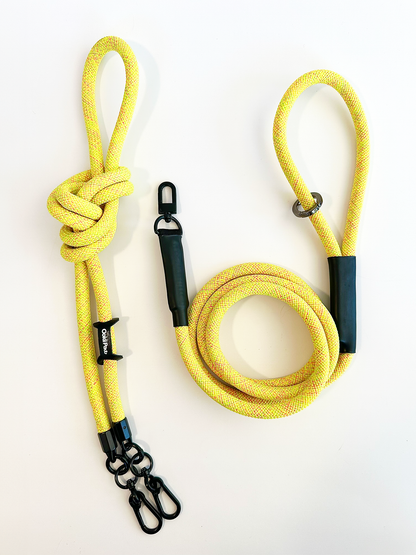 PawVersa Utility Leash