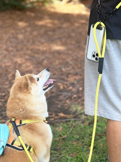 PawVersa Utility Leash