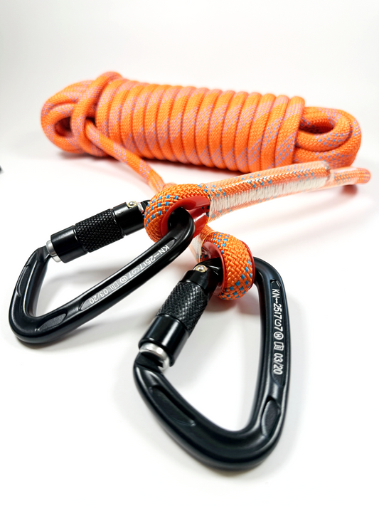 PawJourney Campsite Tether System