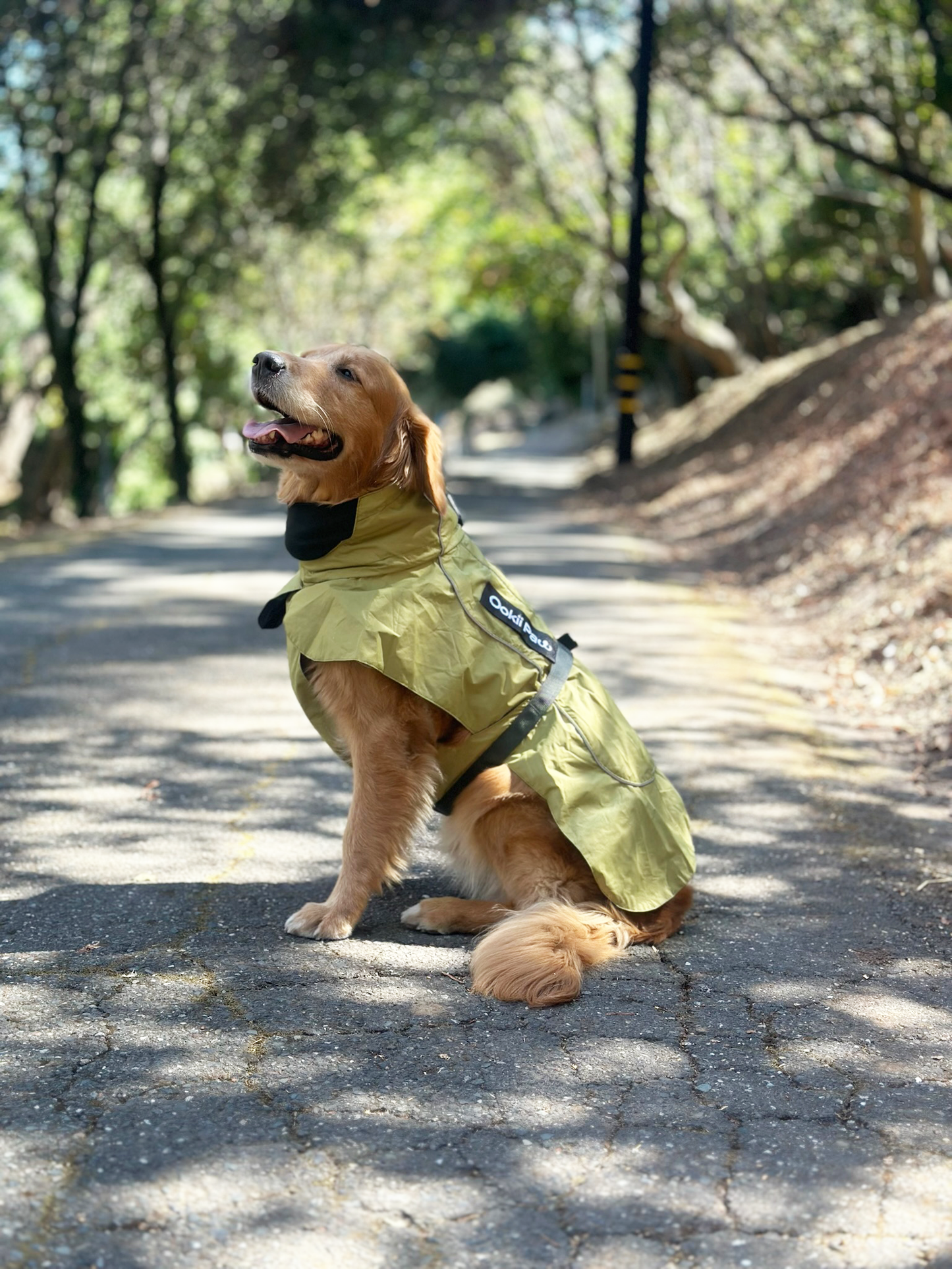 PawJourney Adventure Raincoat