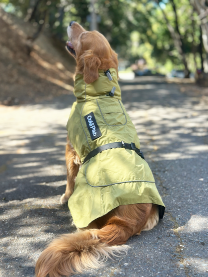 PawJourney Adventure Raincoat