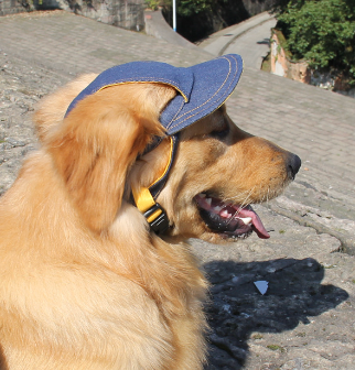 PawJourney Denim Dog Hat