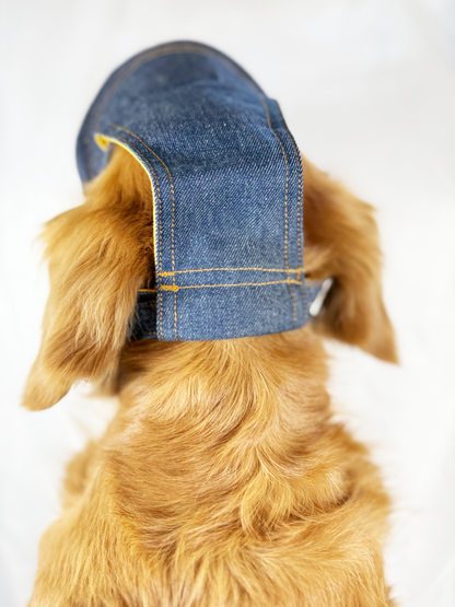 PawJourney Denim Dog Hat