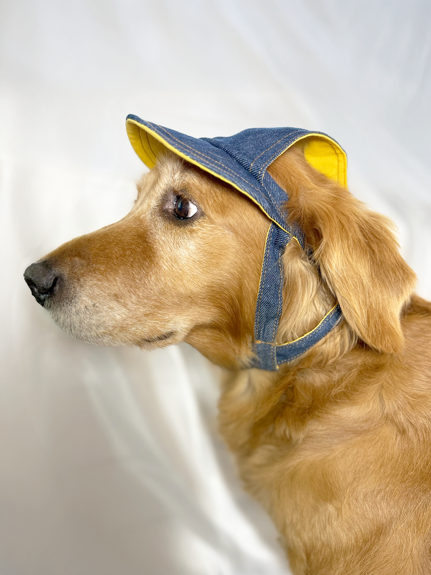 PawJourney Denim Dog Hat